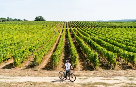 Passeio de bicicleta